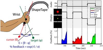 Tasked-Based Functional Brain Connectivity in Multisensory Control of Wrist Movement After Stroke